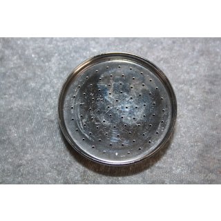 Duschkopf Brauskopf Durchmesser 6,5 cm NEU #W550-1066K