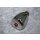 Diana Standard 1/2" W DI 407911500 roter Punkt 11040551 NEU #W604-1067K