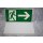Kunststoffschild Schild Fluchtweg Notausgang Rettungsweg Rettungszeichen Pfeil nach rechts NEU DIN 67510 2901/0704 #W1069-01078-1