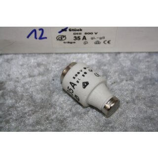 Träge Sicherung Schmelzssicherung Porzellan DIIII 500 V 35 A NEU #W1244