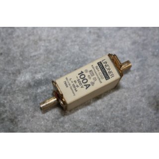 Lindner Sicherung korrosionsfest NH 00 100A 500V Neuwertig #W1365-1018-2